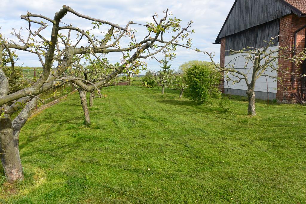 Rodinne Ubytovani - Family Accommodation Kobylice Exteriör bild
